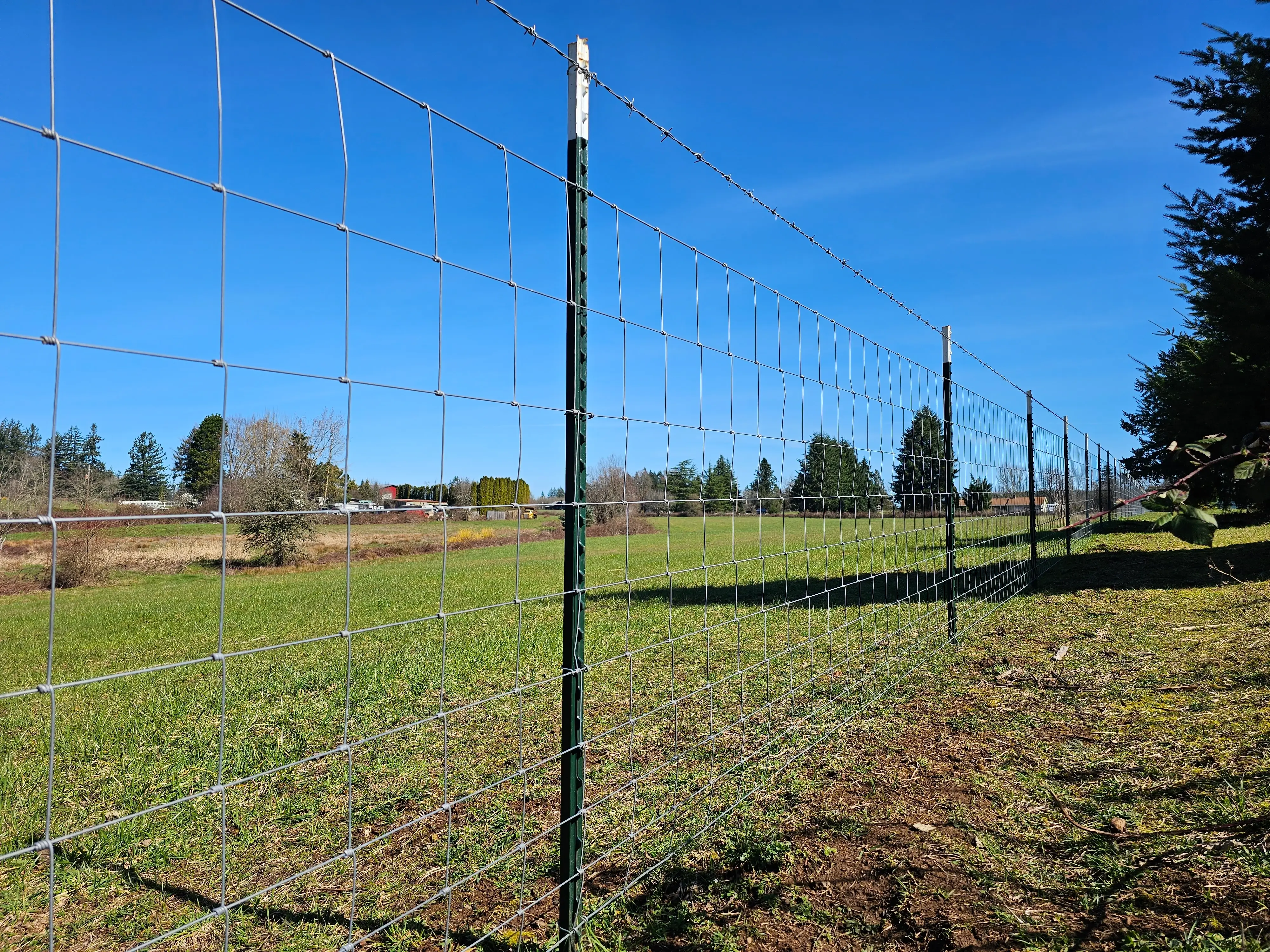 Background fence for the website.